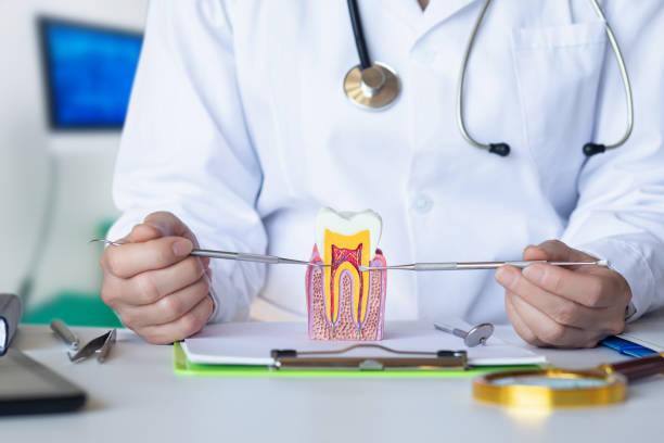 Best Emergency Tooth Extraction in Pinckney, MI